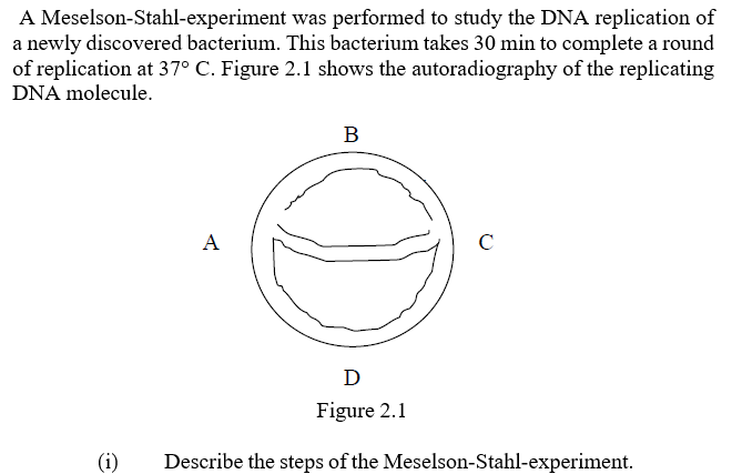 A Meselson-Stahl-experiment was performed to study the DNA replication of
a newly discovered bacterium. This bacterium takes 30 min to complete a round
of replication at 37° C. Figure 2.1 shows the autoradiography of the replicating
DNA molecule.
B
A
C
D
Figure 2.1
(i)
Describe the steps of the Meselson-Stahl-experiment.
