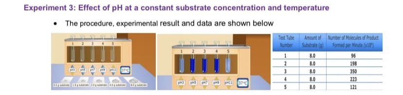 Experiment 3: Effect of pH at a constant substrate concentration and temperature
The procedure, experimental result and data are shown below
Test Tube
Number
Amount of
Substrate (g)
1
8.0
2
8.0
PH3 PHS pH7 HD 137 C
3
8.0
4
8.0
pH3 PHS pH7 pH9 pH11
37°C
0.5g substrate 1.substrate 2.0g sabte 404 subte 80g substrate
5
8.0
Number of Molecules of Product
Formed per Minute (x10)
96
198
350
223
121