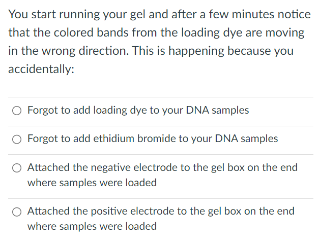 You start running your gel and after a few minutes notice
that the colored bands from the loading dye are moving
in the wrong direction. This is happening because you
accidentally:
O Forgot to add loading dye to your DNA samples
O Forgot to add ethidium bromide to your DNA samples
O Attached the negative electrode to the gel box on the end
where samples were loaded
Attached the positive electrode to the gel box on the end
where samples were loaded