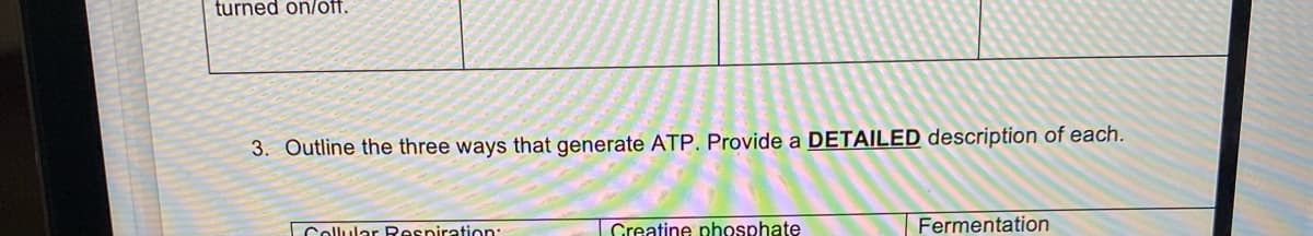 turned on/off.
3. Outline the three ways that generate ATP. Provide a DETAILED description of each.
Cellular Respiration:
Creatine phosphate
Fermentation