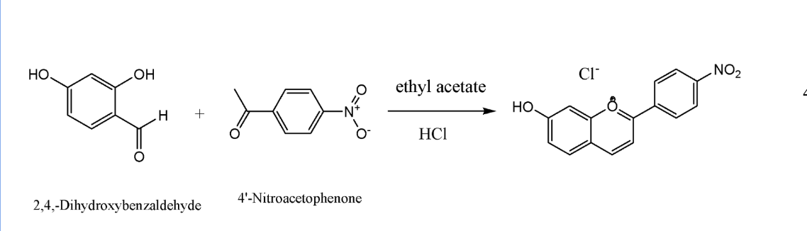 HO.
OH
H
) =
2,4,-Dihydroxybenzaldehyde
4'-Nitroacetophenone
ethyl acetate
HCI
HO.
CI
NO2