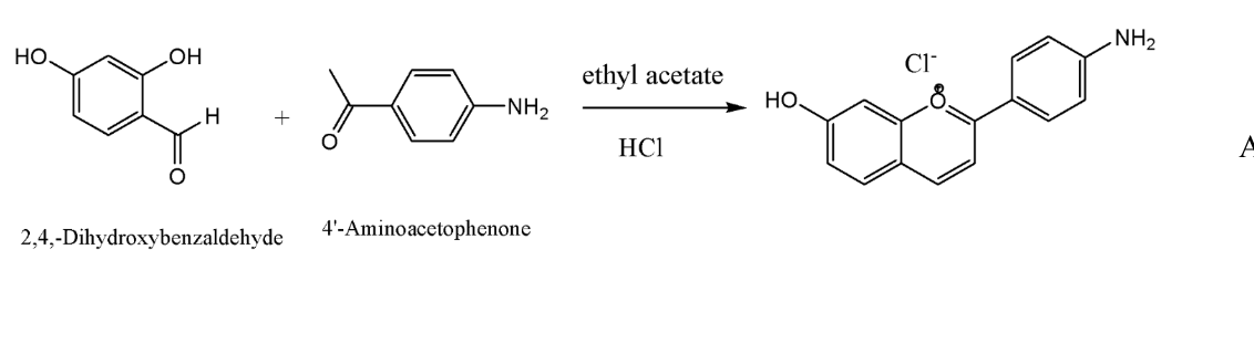 HO
OH
H
ethyl acetate
HO
-NH2
HC1
2,4,-Dihydroxybenzaldehyde
4'-Aminoacetophenone
NH2
A