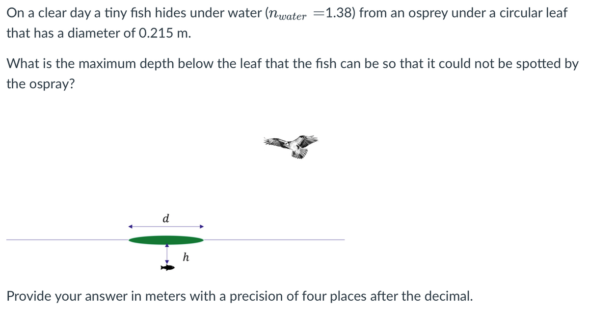 On a clear day a tiny fish hides under water (nwater =1.38) from an osprey under a circular leaf
that has a diameter of 0.215 m.
What is the maximum depth below the leaf that the fish can be so that it could not be spotted by
the ospray?
h
Provide your answer in meters with a precision of four places after the decimal.
