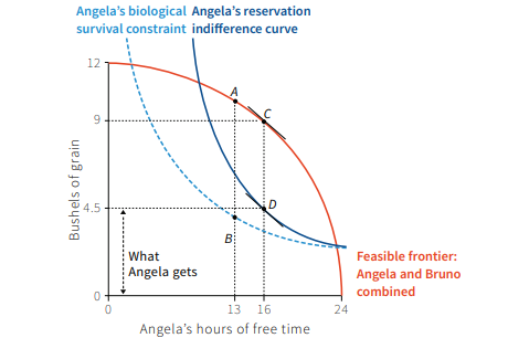 Angela's biological Angela's reservation
survival constraint indifference curve
12
9
4.5
D
B
What
Feasible frontier:
Angela gets
Angela and Bruno
combined
13 16
24
Angela's hours of free time
Bushels of grain
