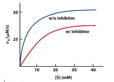 50
w/o inhibitor
w/ inhibitor
25
10
20
30
40
[S] (mM)
(S/wrl) °n
