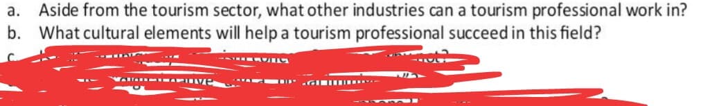 Aside from the tourism sector, what other industries can a tourism professional work in?
b. What cultural elements will help a tourism professional succeed in this field?
а.
- A --
GIIIII -
---
