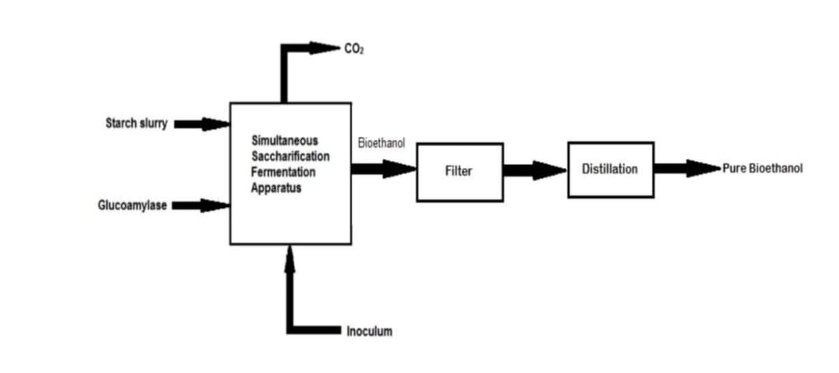 CO2
Starch slurry
Simultaneous
Bioethanol
Saccharification
Fermentation
Apparatus
Filter
Distillation
Pure Bioethanol
Glucoamylase
Inoculum
