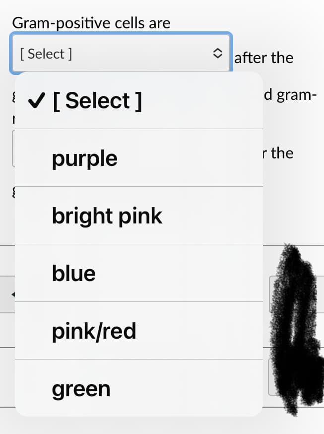 Gram-positive cells are
[ Select ]
after the
{ V[ Select]
d gram-
purple
r the
bright pink
blue
pink/red
green
