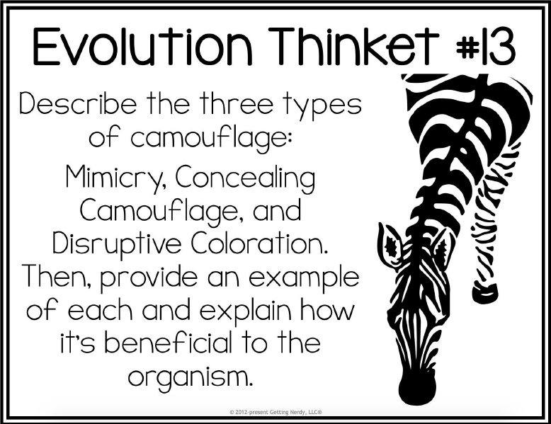 Evolution Thinket #13
Describe the three types
of camouflage:
Mimicry. Concealing
Camouflage, and
Disruptive Coloration.
Then, provide an example
of each and explain how
it's beneficial to the
organism.
O 2012-present Getting Nerdy, LLCO
