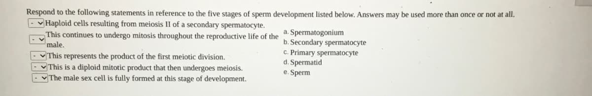 Respond to the following statements in reference to the five stages of sperm development listed below. Answers may be used more than once or not at all.
- v Haploid cells resulting from meiosis II of a secondary spermatocyte.
This continues to undergo mitosis throughout the reproductive life of the
male.
VThis represents the product of the first meiotic division.
VThis is a diploid mitotic product that then undergoes meiosis.
The male sex cell is fully formed at this stage of development.
a. Spermatogonium
b. Secondary spermatocyte
C. Primary spermatocyte
d. Spermatid
e. Sperm
