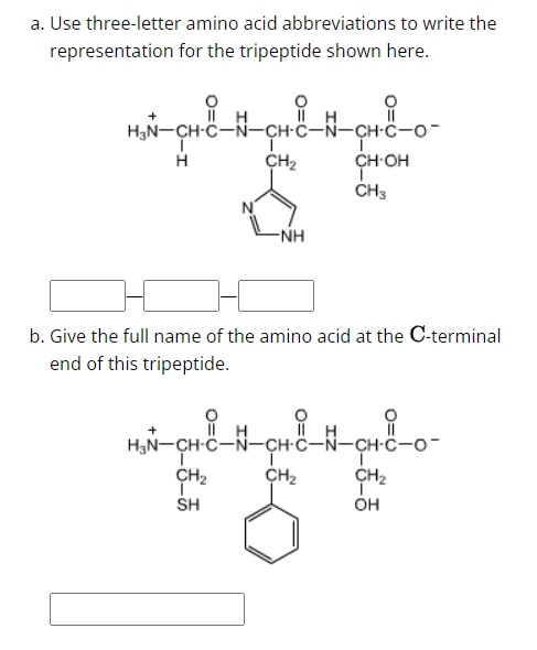 a. Use three-letter amino acid abbreviations to write the
representation for the tripeptide shown here.
i
H₂N-CH-C-N-CH-C-N-CH-C-0-
CH₂
H
-NH
H
ī
CH₂
SH
-CH-C-0-
CH-OH
CH3
b. Give the full name of the amino acid at the C-terminal
end of this tripeptide.
H₂N-CH-C-N-CH-C-N-CH-C-O-
-CH-C-N-CH-C
CH₂
c-o-
CH₂
OH