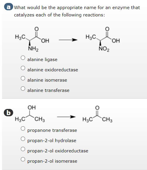 a What would be the appropriate name for an enzyme that
catalyzes each of the following reactions:
b
H3C
iOH
OH
NH₂
alanine ligase
alanine oxidoreductase
alanine isomerase
alanine transferase
OH
H3C CH3
H3C
NO₂
propanone transferase
propan-2-ol hydrolase
propan-2-ol oxidoreductase
propan-2-ol isomerase
OH
H3C CH3