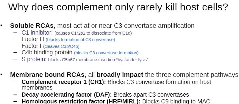 Why does complement only rarely kill host cells?
Soluble RCAS, most act at or near C3 convertase amplification
- Cl inhibitor: (causes C1r2s2 to dissociate from C1q)
- Factor H (blocks formation of C3 convertase)
- Factor I (cleaves C3b/C4b)
- C4b binding protein (blocks C3 convertase formation)
S protein: blocks C5b67 membrane insertion "bystander lysis"
Membrane bound RCAS, all broadly impact the three complement pathways
Complement receptor 1 (CR1): Blocks C3 convertase formation on host
membranes
Decay accelerating factor (DAF): Breaks apart C3 convertases
Homologous restriction factor (HRF/MIRL): Blocks C9 binding to MAC
