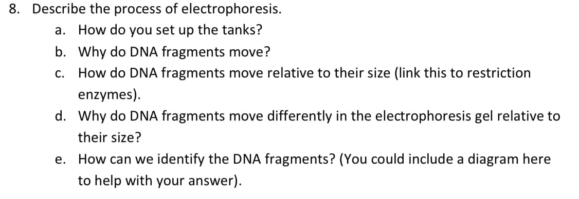 8. Describe the process of electrophoresis.
a. How do you set up the tanks?
b. Why do DNA fragments move?
C.
How do DNA fragments move relative to their size (link this to restriction
enzymes).
d. Why do DNA fragments move differently in the electrophoresis gel relative to
their size?
e. How can we identify the DNA fragments? (You could include a diagram here
to help with your answer).
