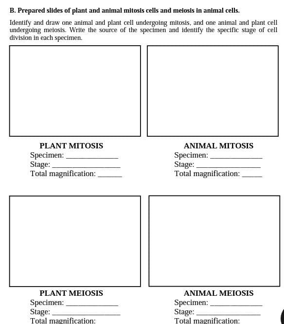 B. Prepared slides of plant and animal mitosis cells and meiosis in animal cells.
Identify and draw one animal and plant cell undergoing mitosis, and one animal and plant cell
undergoing meiosis. Write the source of the specimen and identify the specific stage of cell
division in each specimen.
PLANT MITOSIS
Specimen:
Stage:
Total magnification:
PLANT MEIOSIS
Specimen:
Stage:
Total magnification:
ANIMAL MITOSIS
Specimen:
Stage:
Total magnification:
ANIMAL MEIOSIS
Specimen:
Stage:
Total magnification: