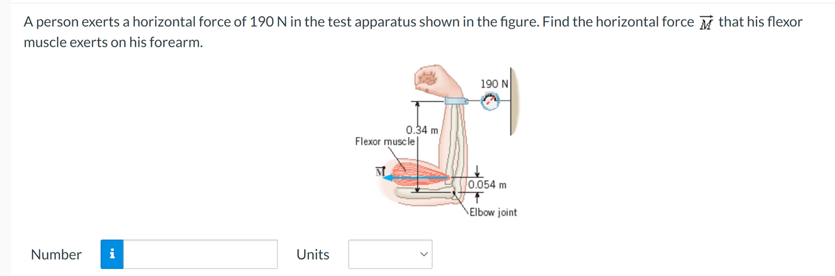 A person exerts a horizontal force of 190 N in the test apparatus shown in the figure. Find the horizontal force that his flexor
muscle exerts on his forearm.
Number i
Units
0.34 m
Flexor muscle
M
190 N
0.054 m
Elbow joint