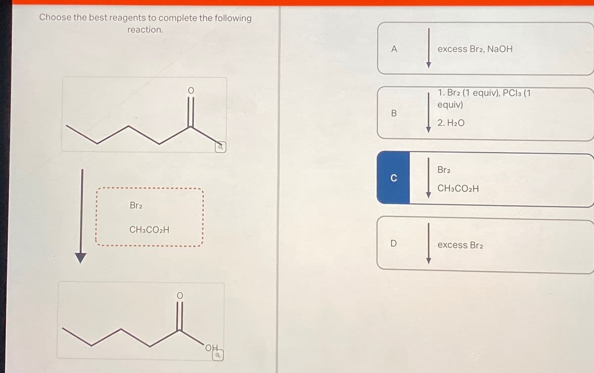 Choose the best reagents to complete the following
reaction.
Br2
A
excess Br2, NaOH
B
0
CH3CO2H
D
OH
1. Br2 (1 equiv), PC13 (1
equiv)
2. H₂O
Br2
CH3CO2H
excess Br2