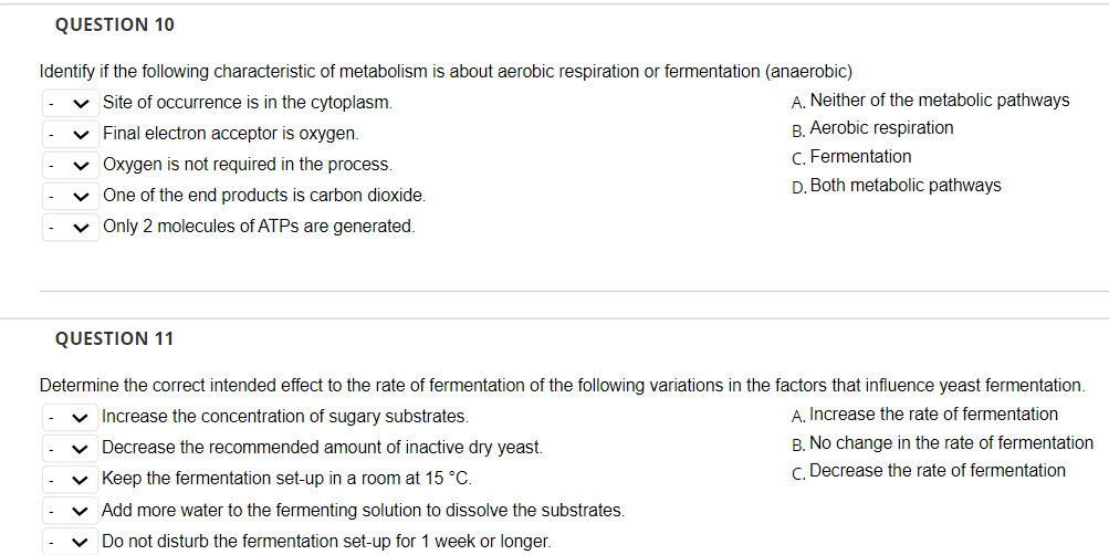 QUESTION 10
Identify if the following characteristic of metabolism is about aerobic respiration or fermentation (anaerobic)
v Site of occurrence is in the cytoplasm.
A. Neither of the metabolic pathways
v Final electron acceptor is oxygen.
B. Aerobic respiration
v Oxygen is not required in the process.
C. Fermentation
D. Both metabolic pathways
One of the end products is carbon dioxide.
v Only 2 molecules of ATPS are generated.
QUESTION 11
Determine the correct intended effect to the rate of fermentation of the following variations in the factors that influence yeast fermentation.
v Increase the concentration of sugary substrates.
A. Increase the rate of fermentation
v Decrease the recommended amount of inactive dry yeast.
B. No change in the rate of fermentation
C. Decrease the rate of fermentation
Keep the fermentation set-up in a room at 15 °C.
v Add more water to the fermenting solution to dissolve the substrates.
v Do not disturb the fermentation set-up for 1 week or longer.
