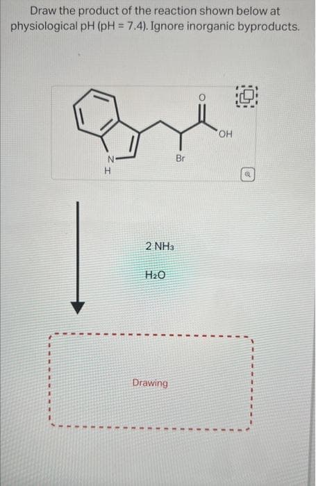 Draw the product of the reaction shown below at
physiological pH (pH = 7.4). Ignore inorganic byproducts.
T
1
I
N
2 NH3
H₂O
Drawing
Br
OH
1
1
1