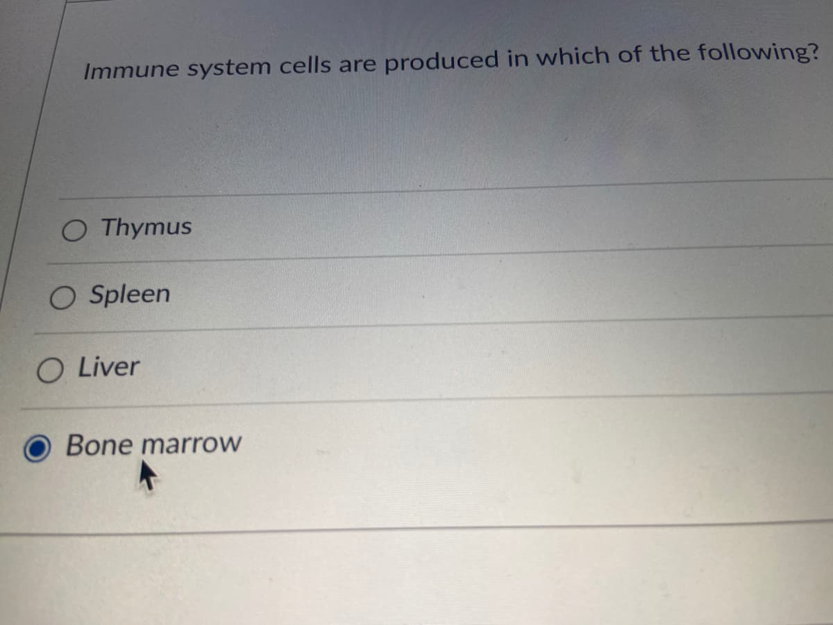 Immune system cells are produced in which of the following?
O Thymus
O Spleen
O Liver
Bone marrow