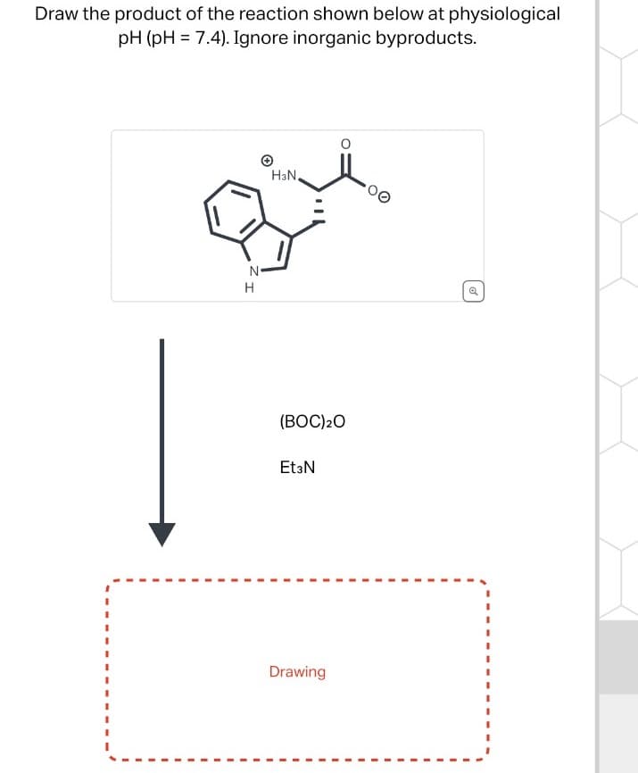 Draw the product of the reaction shown below at physiological
pH (pH
7.4). Ignore inorganic byproducts.
HзN.
H
ZI
N
Q
(BOC)20
EtзN
Drawing