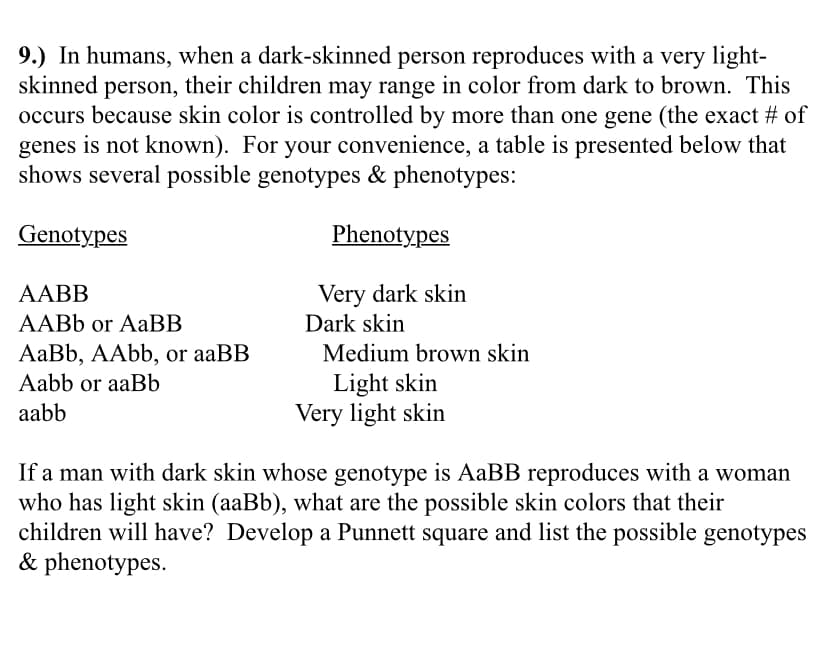 9.) In humans, when a dark-skinned person reproduces with a very light-
skinned person, their children may range in color from dark to brown. This
occurs because skin color is controlled by more than one gene (the exact # of
genes is not known). For your convenience, a table is presented below that
shows several possible genotypes & phenotypes:
Genotypes
Phenotypes
Very dark skin
Dark skin
AABB
AABB or AaBB
AаBb, AAЬЬ, or aaBB
Aabb or aaBb
Medium brown skin
Light skin
Very light skin
aabb
If a man with dark skin whose genotype is AABB reproduces with a woman
who has light skin (aaBb), what are the possible skin colors that their
children will have? Develop a Punnett square and list the possible genotypes
& phenotypes.
