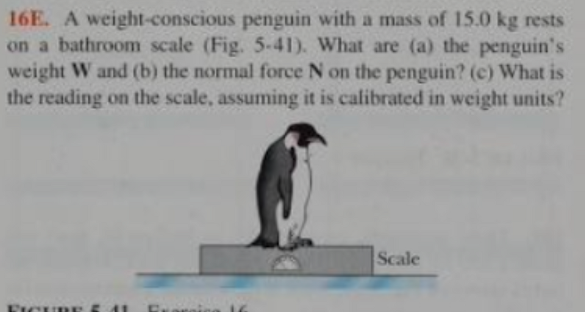 16E. A weight-conscious penguin with a mass of 15.0 kg rests
on a bathroom scale (Fig. 5-41). What are (a) the penguin's
weight W and (b) the normal force N on the penguin? (c) What is
the reading on the scale, assuming it is calibrated in weight units?
Scale
