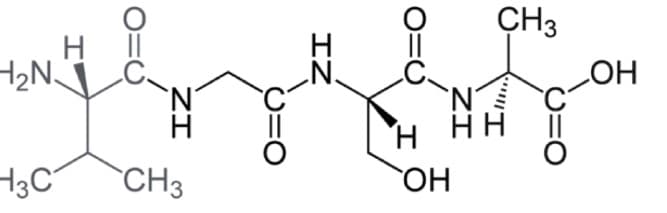 H2N
–3C
Н
ZI
CH3
IZ
0=0
I
`N
ОН
CH3
НН
ОН