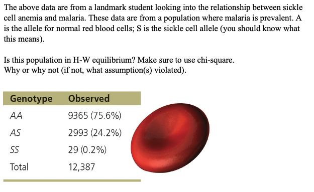 The above data are from a landmark student looking into the relationship between sickle
cell anemia and malaria. These data are from a population where malaria is prevalent. A
is the allele for normal red blood cells; S is the sickle cell allele (you should know what
this means).
Is this population in H-W equilibrium? Make sure to use chi-square.
Why or why not (if not, what assumption(s) violated).
Genotype
AA
AS
SS
Total
Observed
9365 (75.6%)
2993 (24.2%)
29 (0.2%)
12,387
