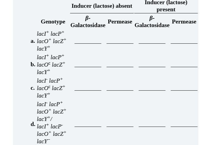 Inducer (lactose)
Inducer (lactose) absent
present
B-
B-
Genotype
Permease
Permease
Galactosidase
Galactosidase
lacI* lacP*
a. laco* lacZ*
lacY
lacI* lacP*
b. lacO lacz*
lacY
lacI lacP*
c. lacO lacz+
lacY
lacI lacP*
laco* lacZ*
lacY*/
d.
lacI* lacP
laco* lacz*
lacY
