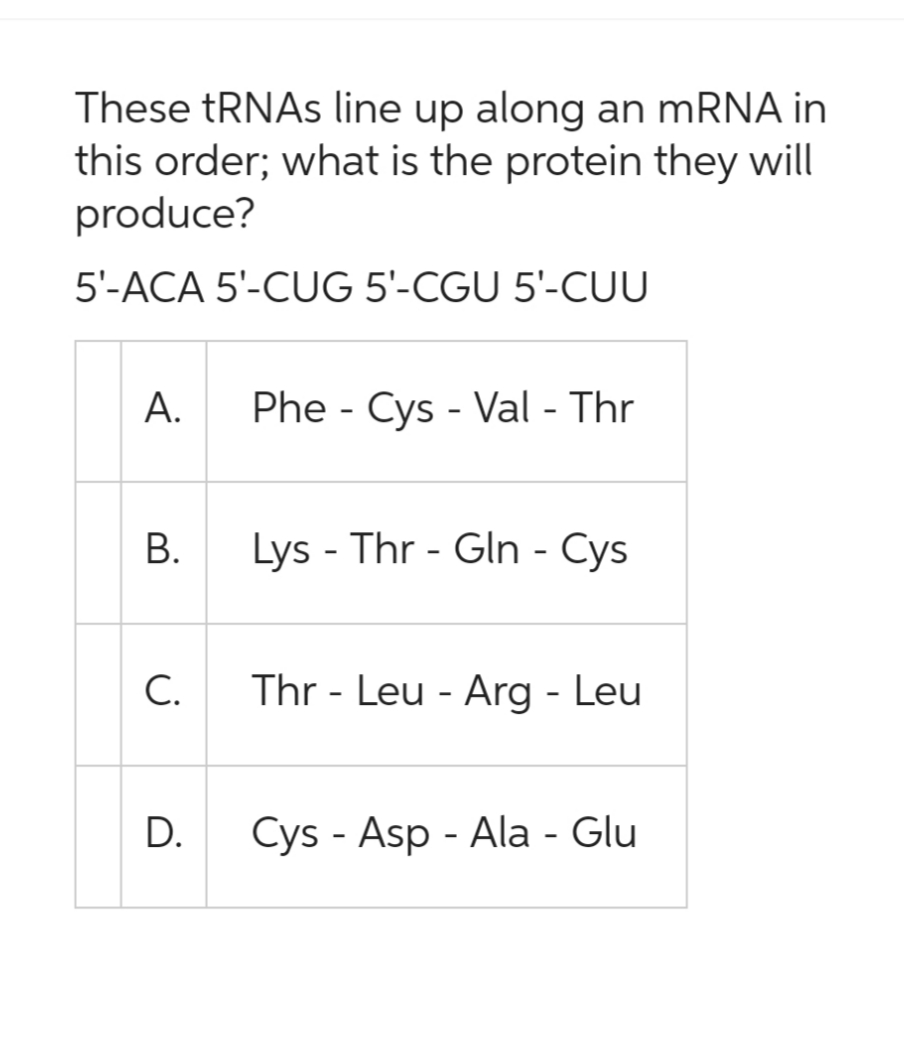These tRNAs line up along an mRNA in
this order; what is the protein they will
produce?
5'-ACA 5'-CUG 5'-CGU 5'-CUU
A.
B.
C.
D.
Phe - Cys - Val - Thr
Lys - Thr - Gln - Cys
Thr - Leu - Arg - Leu
Cys - Asp - Ala - Glu