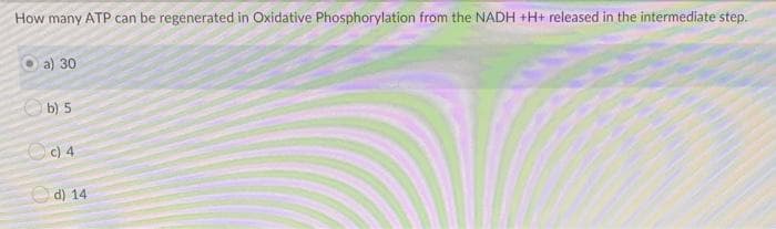 How many ATP can be regenerated in Oxidative Phosphorylation from the NADH +H+ released in the intermediate step.
a) 30
b) 5
c) 4
d) 14