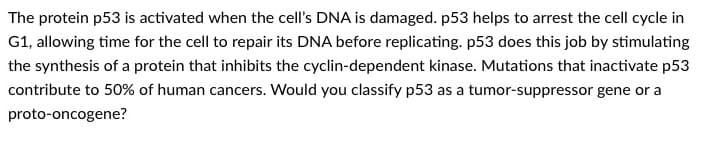 The protein p53 is activated when the cell's DNA is damaged. p53 helps to arrest the cell cycle in
G1, allowing time for the cell to repair its DNA before replicating. p53 does this job by stimulating
the synthesis of a protein that inhibits the cyclin-dependent kinase. Mutations that inactivate p53
contribute to 50% of human cancers. Would you classify p53 as a tumor-suppressor gene or a
proto-oncogene?