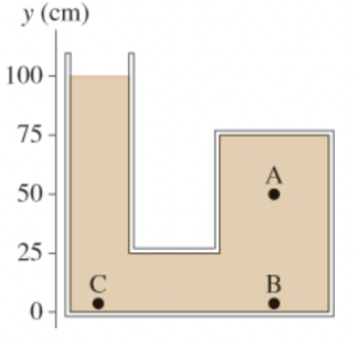 y (cm)
100 -
75
A
50 -
25 -
В
