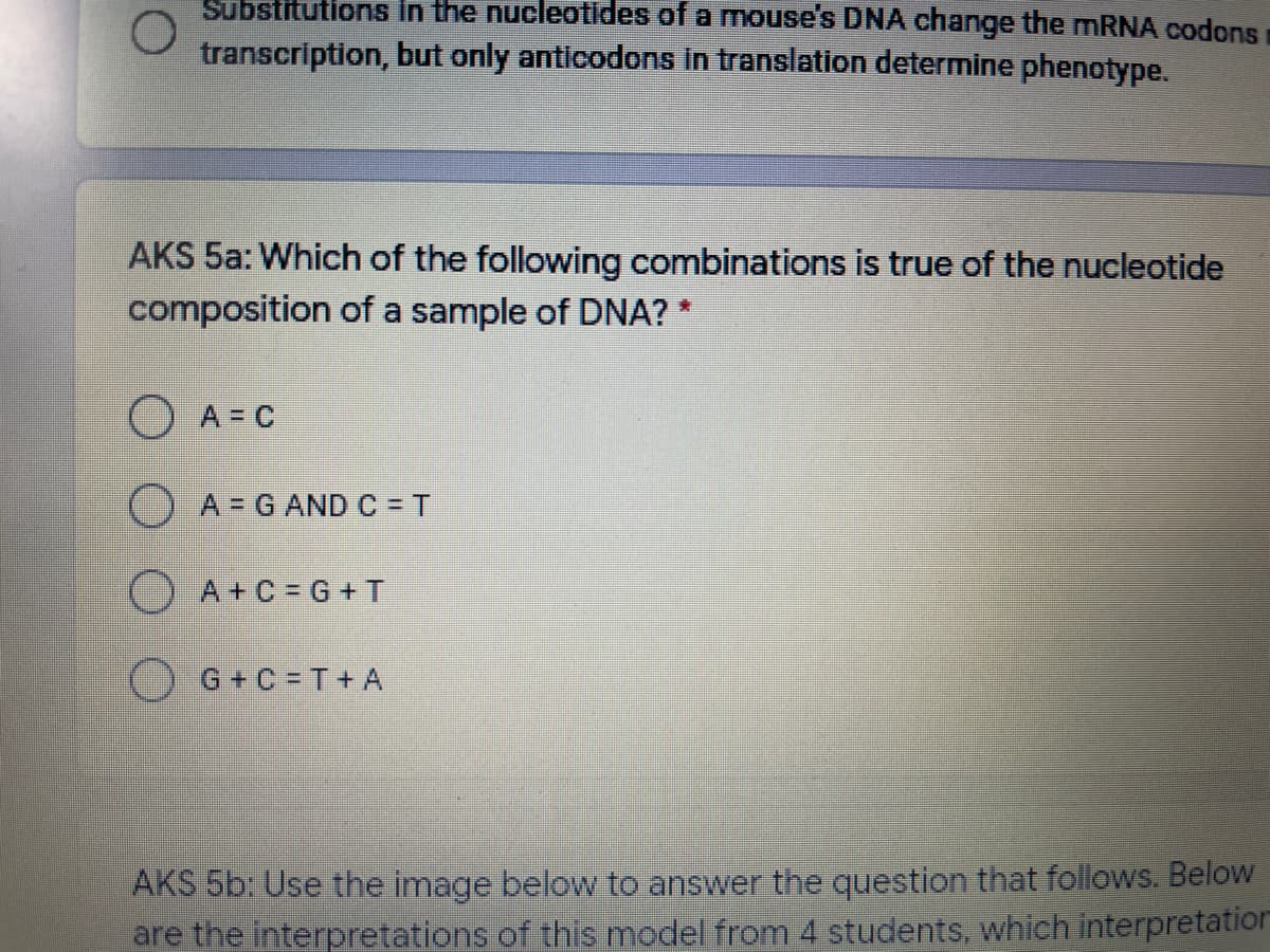 Substitutions in the nucleotides of a mouse's DNA change the MRNA codons
transcription, but only anticodons In translation determine phenotype.
AKS 5a: Which of the following combinations is true of the nucleotide
composition of a sample of DNA? *
OA=C
O A= G AND C = T
() A+C= G +T
OG+C = T+ A
AKS 5b: Use the image below to answer the question that follows. Below
are the interpretations of this model from 4 students, which interpretation
