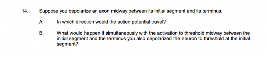 14.
Suppose you depolarize an axon midway between its initial segment and its terminus.
A.
In which direction would the action potential travel?
В.
What would happen if simultaneously with the activation to threshold midway between the
initial segment and the terminus you also depolarized the neuron to threshold at the initial
segment?
