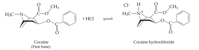 C-
CH3
Н
CH3
НС —N
НС—N*
+ HCI
Cocaine
(Free base)
Cocaine hydrochloride
