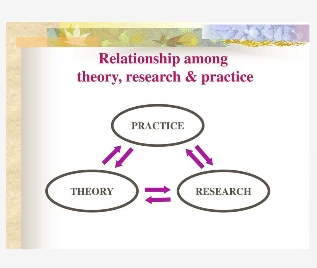 Relationship among
theory, research & practice
PRACTICE
11
THEORY
↑↓
RESEARCH