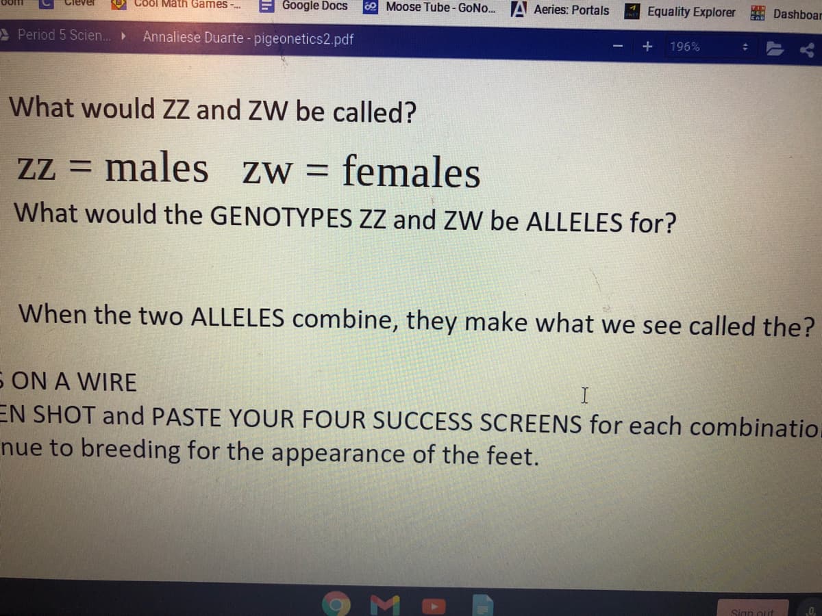 oom
Clever
Cool Math Games -.
E Google Docs
0 Moose Tube- GoNo.. A Aeries: Portals
Equality Explorer
E Dashboar
Period 5 Scien.
Annaliese Duarte - pigeonetics2.pdf
196%
What would ZZ and ZW be called?
zz = males Zw =
females
ZW =
What would the GENOTYPES ZZ and ZW be ALLELES for?
When the two ALLELES combine, they make what we see called the?
S ON A WIRE
EN SHOT and PASTE YOUR FOUR SUCCESS SCREENS for each combinatio.
nue to breeding for the appearance of the feet.
I
Sign out
