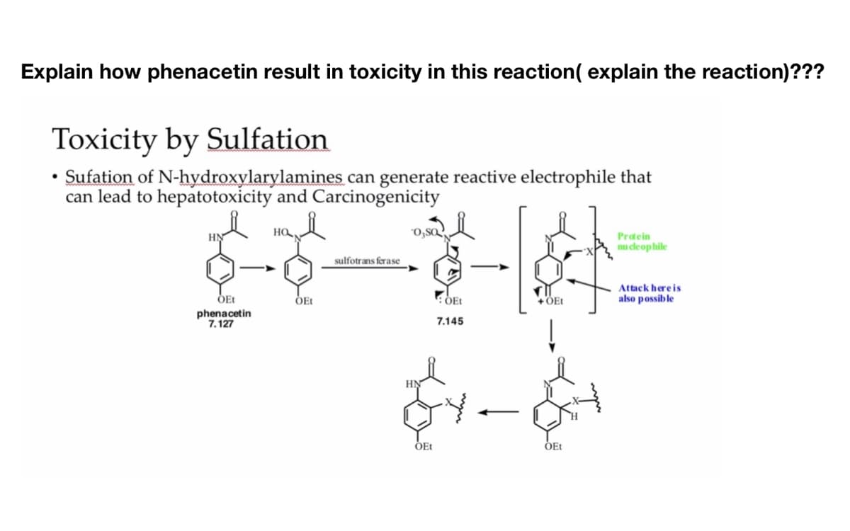 Explain how phenacetin result in toxicity in this reaction( explain the reaction)???
Toxicity by Sulfation
• Sufation of N-hydroxylarylamines can generate reactive electrophile that
can lead to hepatotoxicity and Carcinogenicity
HO,
&
OEt
phenacetin
7.127
ỎEt
sulfotransferase
03SQ
ÕEt
:OEt
7.145
ÖEt
OEt
Protein
nucleophile
Attack here is
also possible