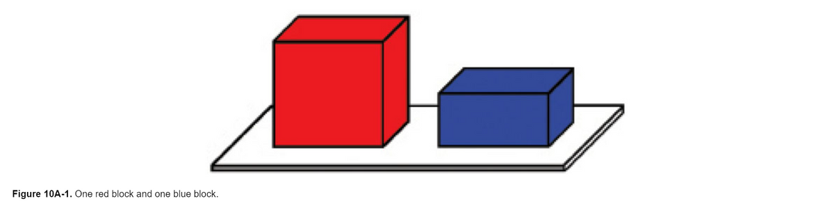 Figure 10A-1. One red block and one blue block.
