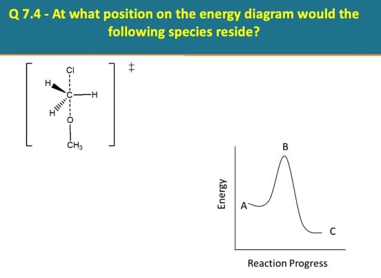 Q7.4 - At what position on the energy diagram would the
following species reside?
ČH3
В
Reaction Progress
O----o----o
Energy
