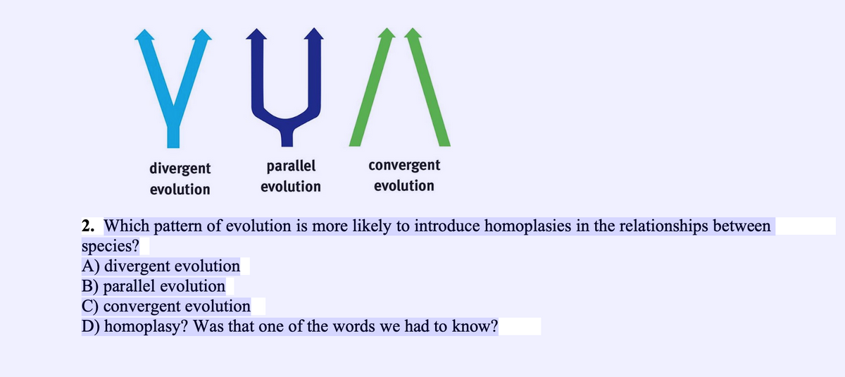 divergent
parallel
convergent
evolution
evolution
evolution
2. Which pattern of evolution is more likely to introduce homoplasies in the relationships between
species?
A) divergent evolution
B) parallel evolution
C) convergent evolution
D) homoplasy? Was that one of the words we had to know?
