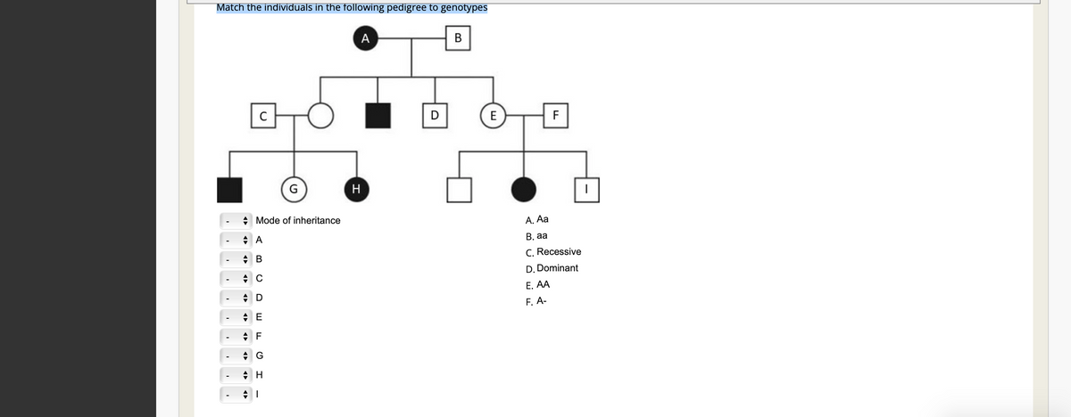 Match the individuals in the following pedigree to genotypes
C
G
◆ Mode of inheritance
A
B
с
D
E
F
G
H
A
H
D
B
E
F
A. Aa
B. aa
C. Recessive
D. Dominant
E. AA
F. A-
|