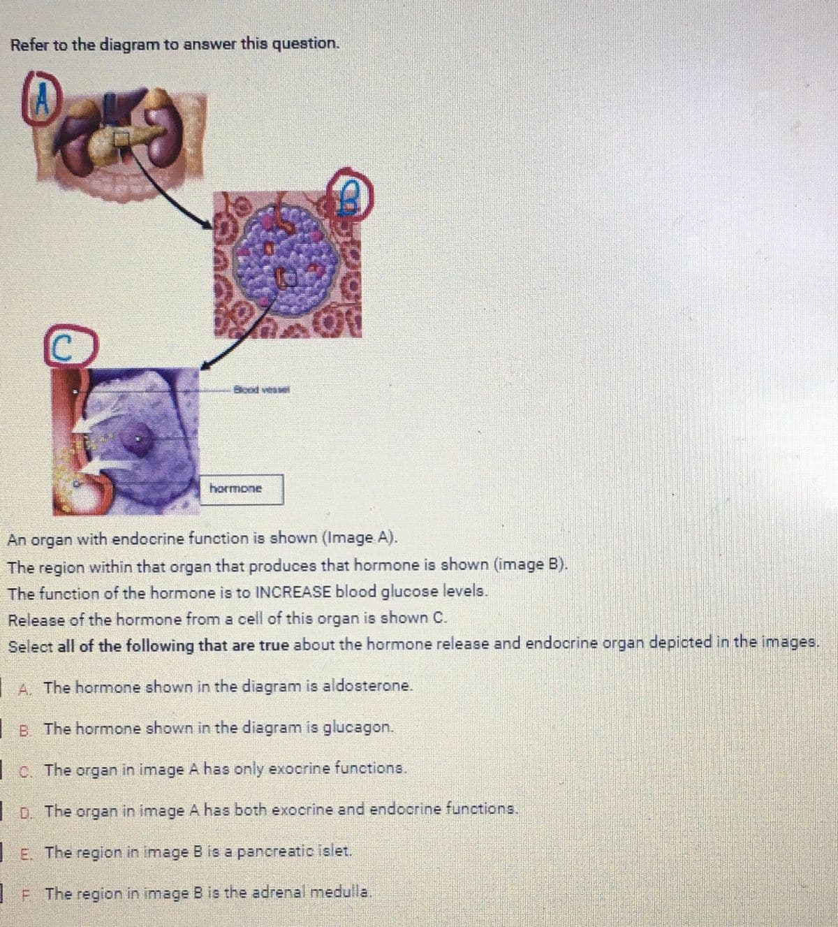 Refer to the diagram to answer this question.
A
hormone
An organ with endocrine function is shown (Image A).
The region within that organ that produces that hormone is shown (image B).
The function of the hormone is to INCREASE blood glucose levels.
Release of the hormone from a cell of this organ is shown C.
Select all of the following that are true about the hormone release and endocrine organ depicted in the images.
A. The hormone shown in the diagram is aldosterone.
B. The hormone shown in the diagram is glucagon.
C. The organ in image A has only exocrine functions.
The organ in image A has both exocrine and endocrine functions.
E. The region in image B is a pancreatic islet.
F. The region in image B is the adrenal medulla.