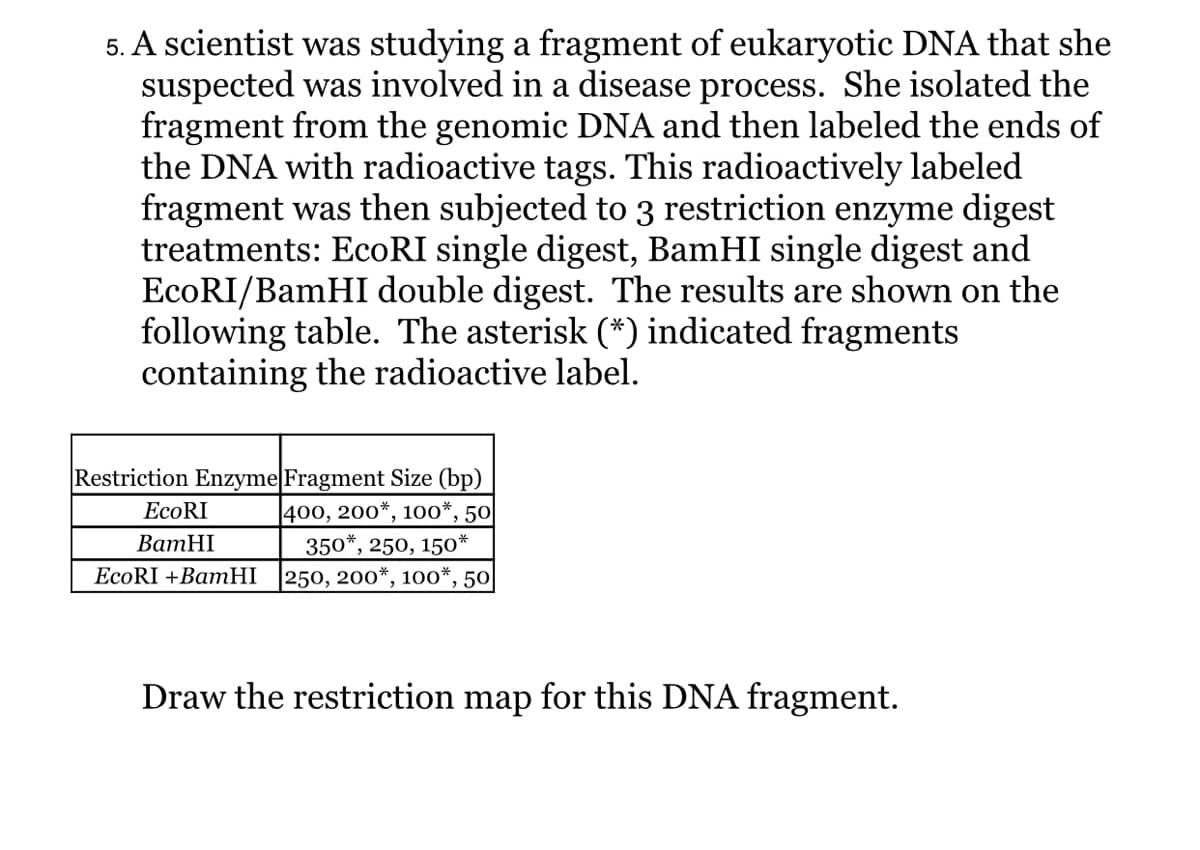 5. A scientist was studying a fragment of eukaryotic DNA that she
suspected was involved in a disease process. She isolated the
fragment from the genomic DNA and then labeled the ends of
the DNA with radioactive tags. This radioactively labeled
fragment was then subjected to 3 restriction enzyme digest
treatments: EcoRI single digest, BamHI single digest and
ECORI/BamHI double digest. The results are shown on the
following table. The asterisk (*) indicated fragments
containing the radioactive label.
Restriction Enzyme Fragment Size (bp)
|400, 200*, 100*, 50
350*, 250, 150*
250, 200*, 10o*, 50
ВатHI
EcoRI +BamHI
Draw the restriction map for this DNA fragment.
