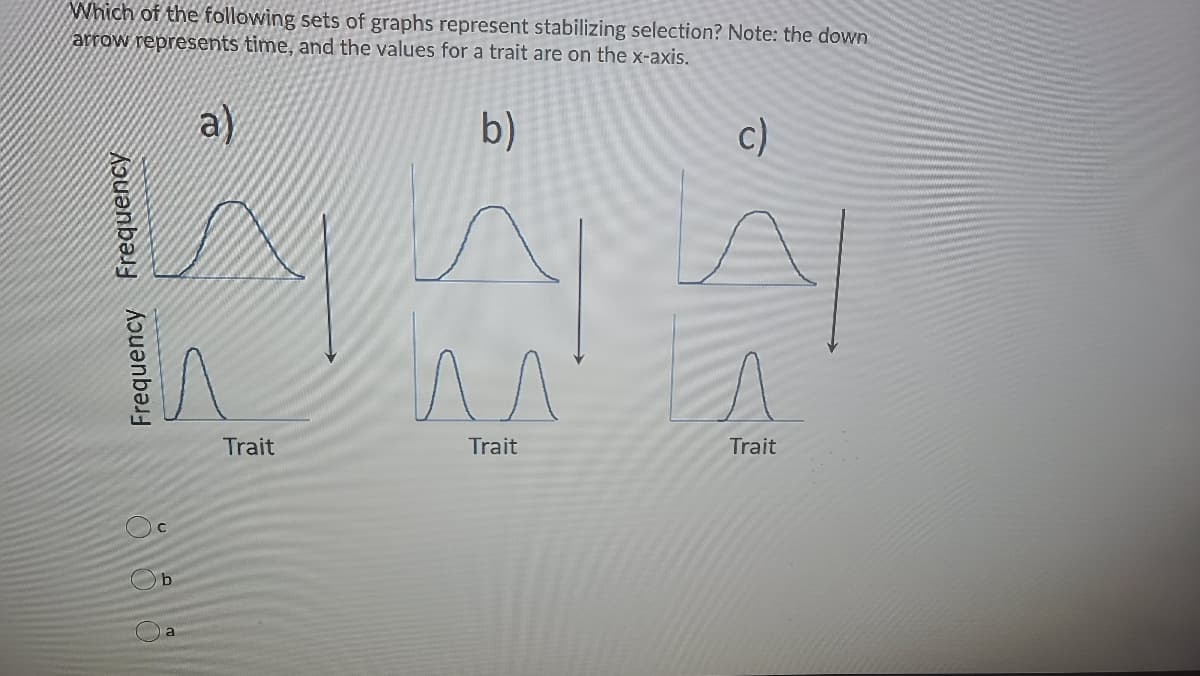 Which of the following sets of graphs represent stabilizing selection? Note: the down
arrow represents time, and the values for a trait are on the x-axis.
a)
b)
c)
Trait
Trait
Trait
