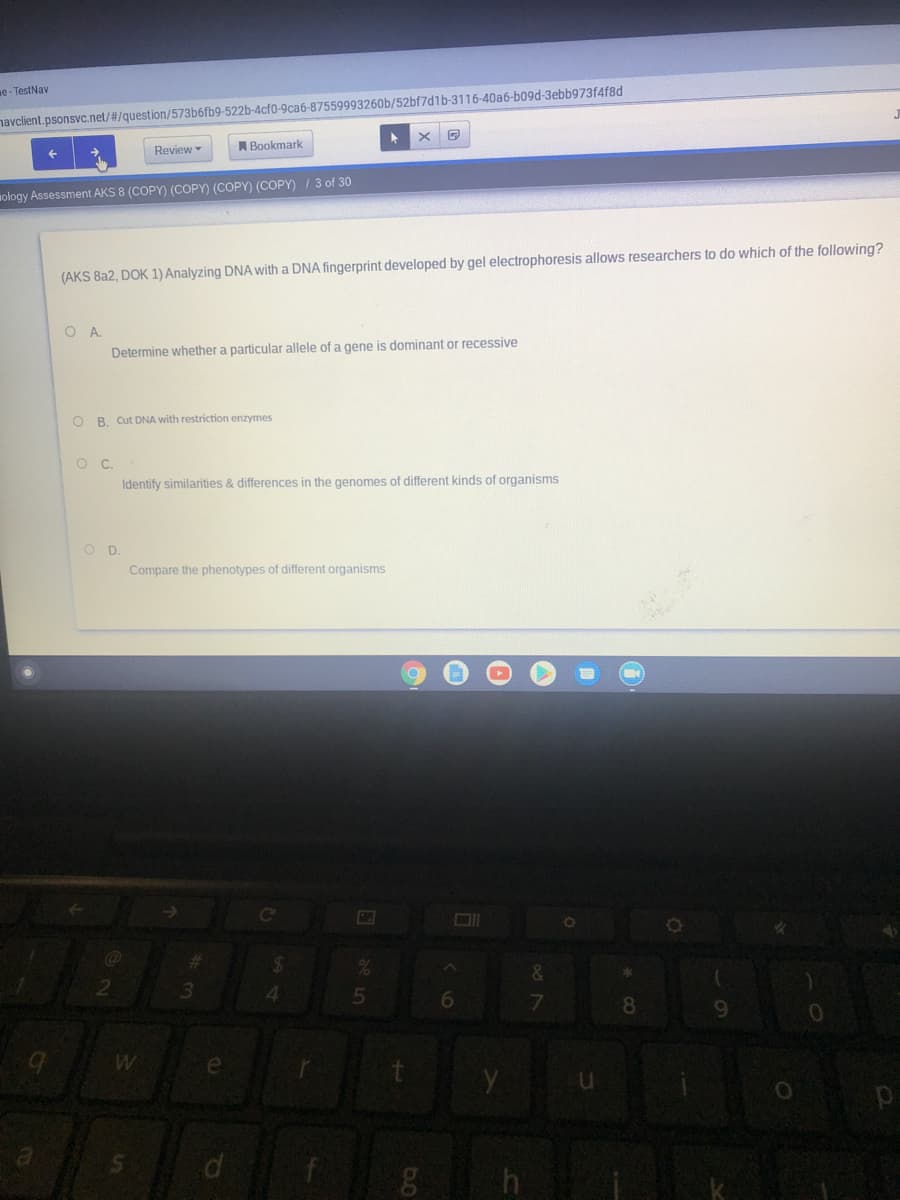 e- TestNav
navclient.psonsvc.net/#/question/573b6fb9-522b-4cf0-9ca6-87559993260b/52bf7d1b-3116-40a6-b09d-3ebb973f4f8d
Review
A Bookmark
ology Assessment AKS 8 (COPY) (COPY) (COPY) (COPY) / 3 of 30
(AKS 8a2, DOK 1) Analyzing DNA with a DNA fingerprint developed by gel electrophoresis allows researchers to do which of the following?
Determine whether a particular allele of a gene is dominant or recessive
O B. Cut DNA with restriction enzymes
Identify similarities & differences in the genomes of different kinds of organisms
OD.
Compare the phenotypes of different organisms
24
&
21
13
5
6
8
e
