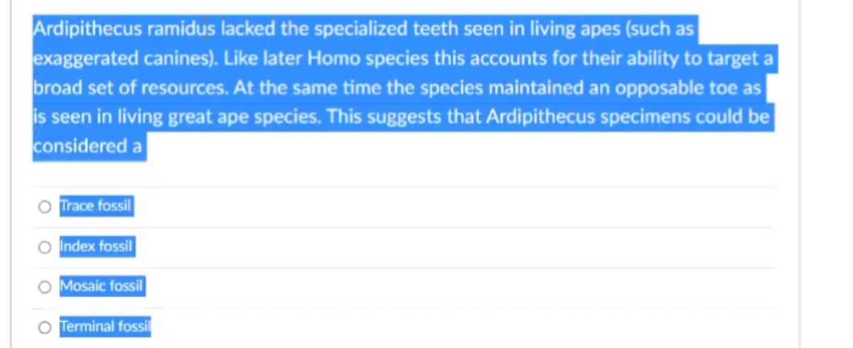 Ardipithecus ramidus lacked the specialized teeth seen in living apes (such as
exaggerated canines). Like later Homo species this accounts for their ability to target a
broad set of resources. At the same time the species maintained an opposable toe as
is seen in living great ape species. This suggests that Ardipithecus specimens could be
considered a
Trace fossil
Index fossil
Mosaic fossil
O Terminal fossil
