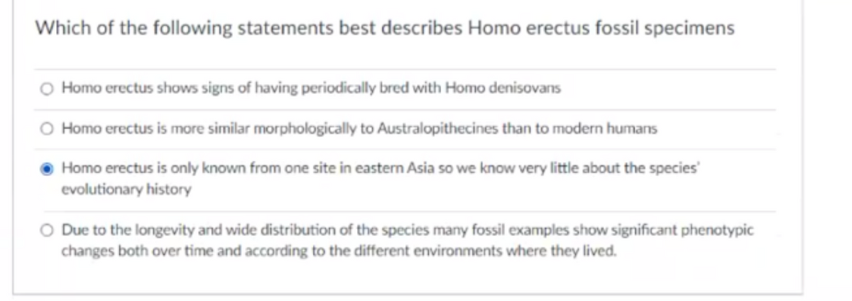 Which of the following statements best describes Homo erectus fossil specimens
Homo erectus shows signs of having periodically bred with Homo denisovans
O Homo erectus is more similar morphologically to Australopithecines than to modern humans
Homo erectus is only known from one site in eastern Asia so we know very little about the species
evolutionary history
O Due to the longevity and wide distribution of the species many fossil examples show significant phenotypic
changes both over time and according to the different environments where they lived.
